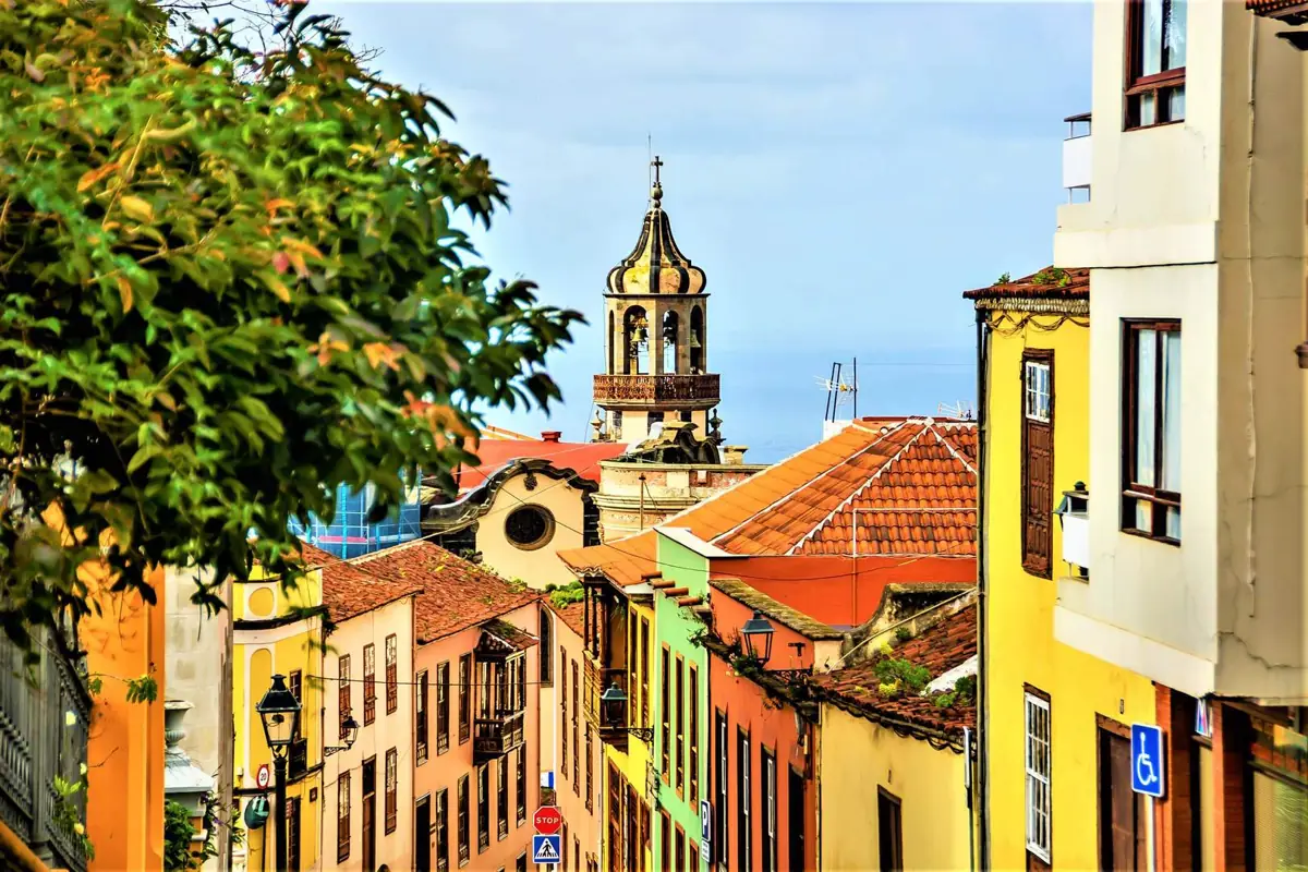 40 años de lucha por la protección de El Rincón