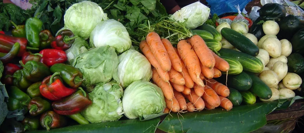 Carta a la Consejera de Agricultura, Ganadería y Pesca