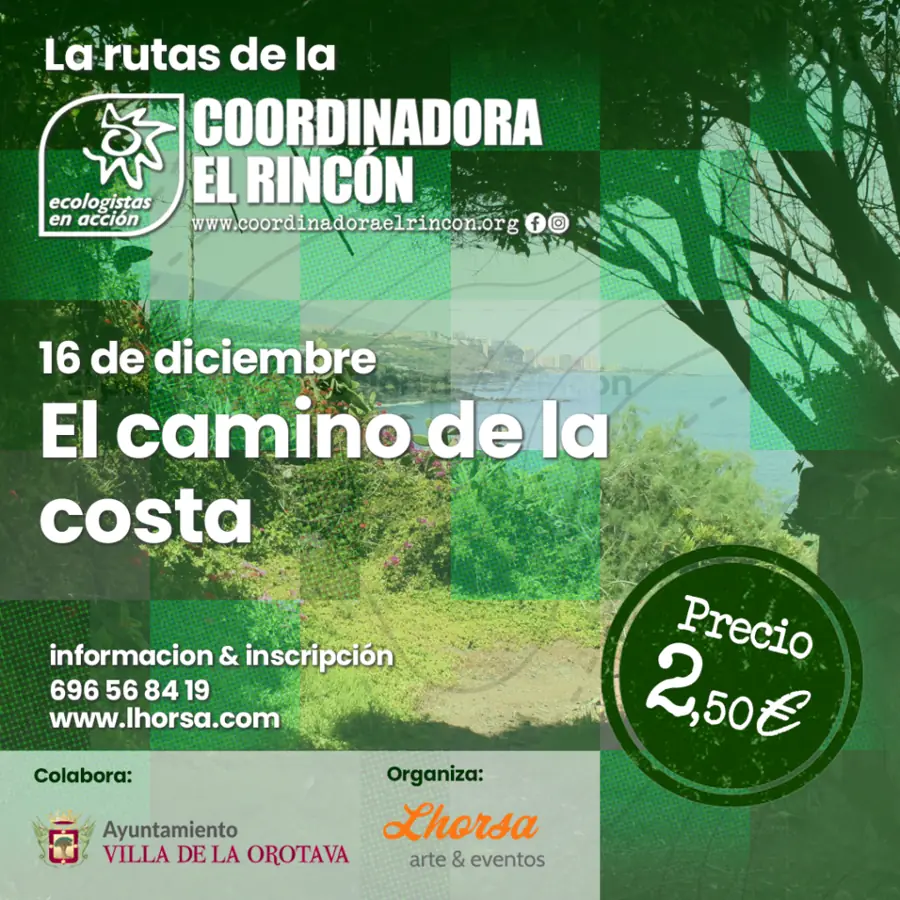 Cartel - Nuevas rutas para finalizar el año 2023